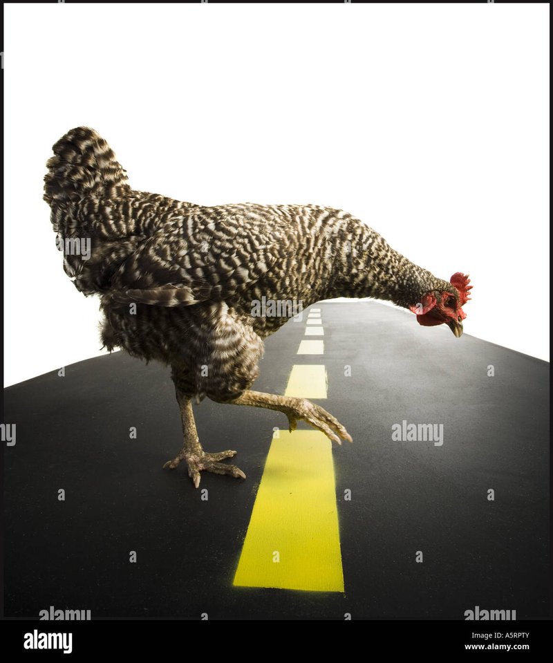 Chicken road casino, chicken road demo
